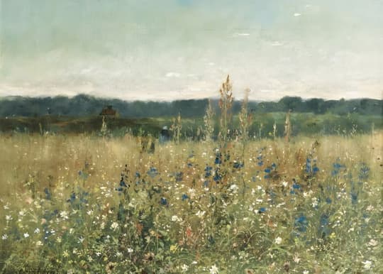 Wildflower Field