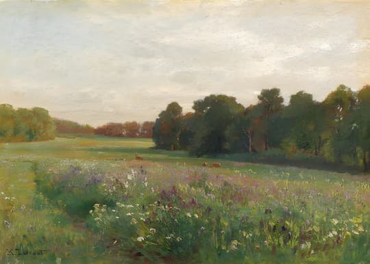 Meadow in Bloom