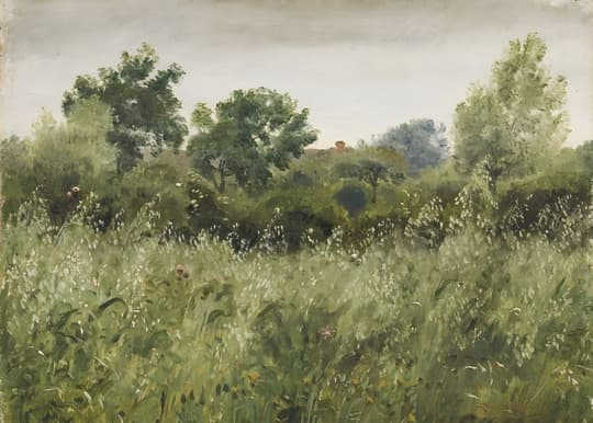 Summer Meadow with Trees