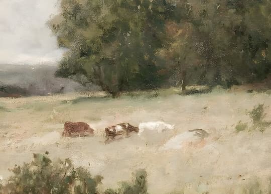 Goats in the Dusty Field