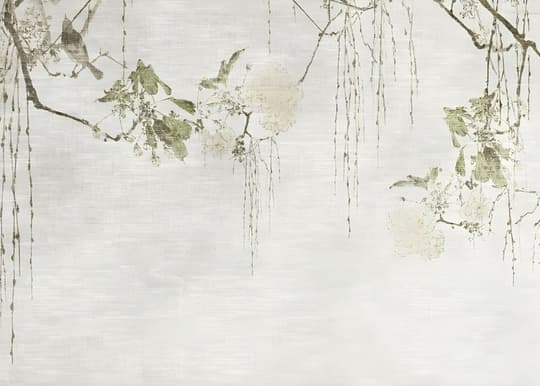 Hanging Willow Branches