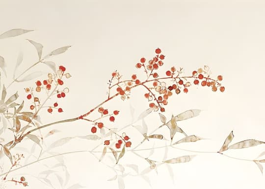 Winter Berries & Dried Foliage
