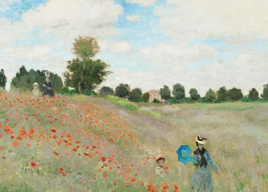 Poppy Field