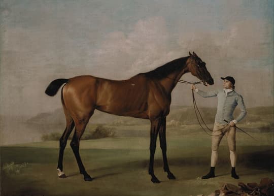 Thoroughbred with Groom