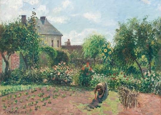 The Vegetable Garden
