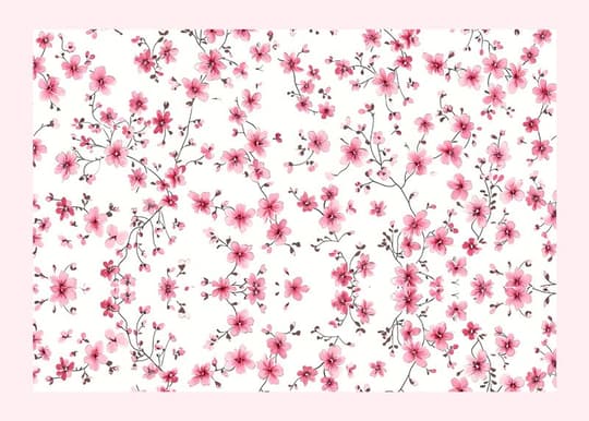 Delicate Cherry Blossoms