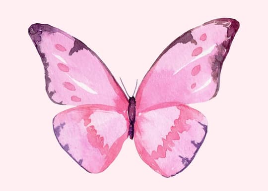 Pink Watercolor Butterfly