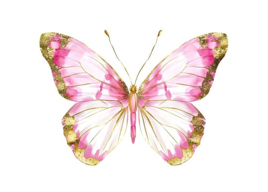 Pink Gold Butterfly