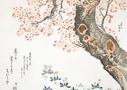 Cherry Blossom Tree with Spring Flowers