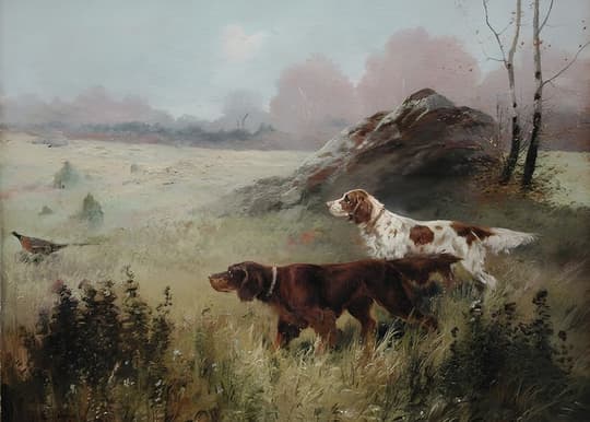 Hunting Dogs in the Mist