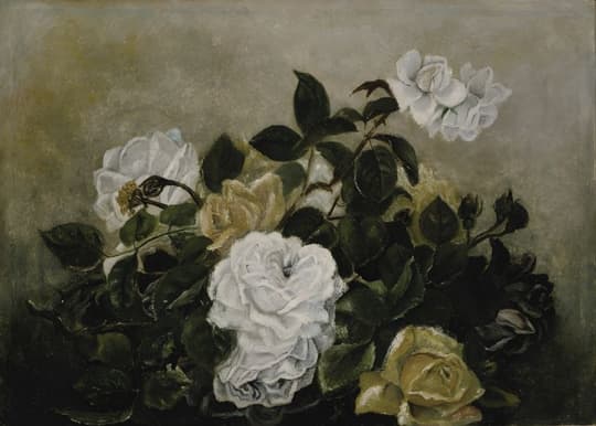 White and Yellow Roses
