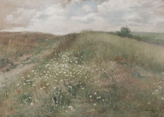 Wildflower Field at Dusk