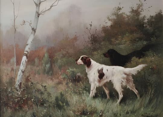 Hunting Dog in Autumn Woods