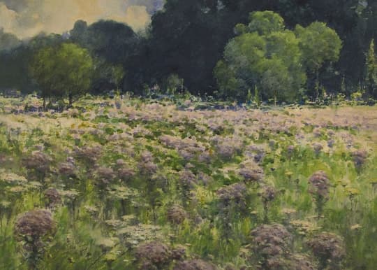 Field of Purple Wildflowers