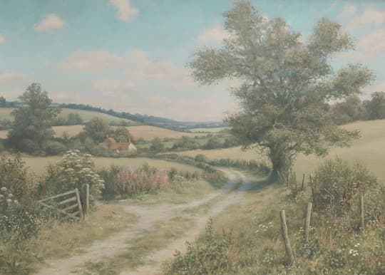 Country Lane in Summer