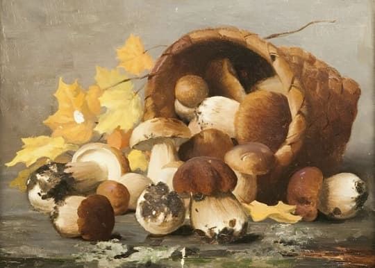 Mushrooms & Autumn Leaves
