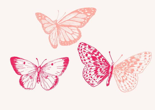Pink Butterfly Trio