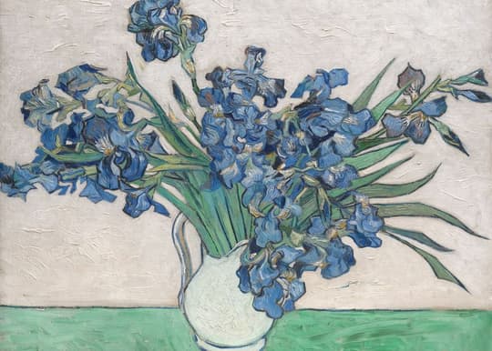 Irises in White Vase