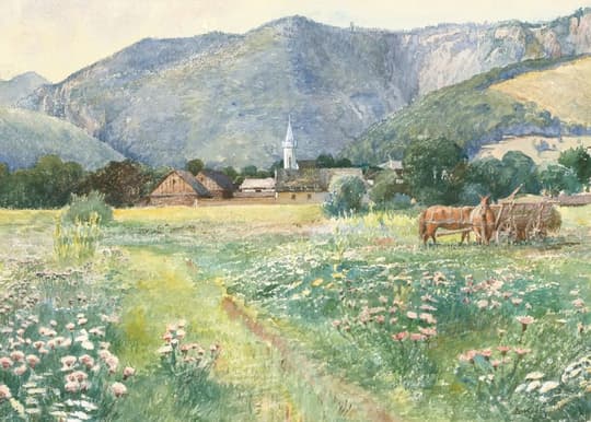 Alpine Valley Meadow