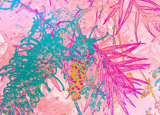 Tropical Bloom Abstraction
