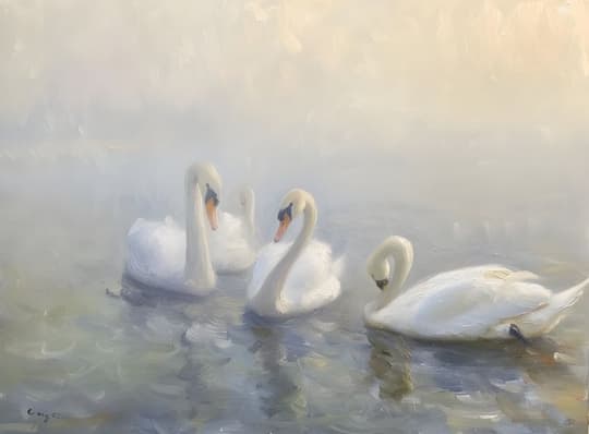 Swans in Misty Waters