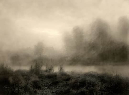Misty Forest Landscape