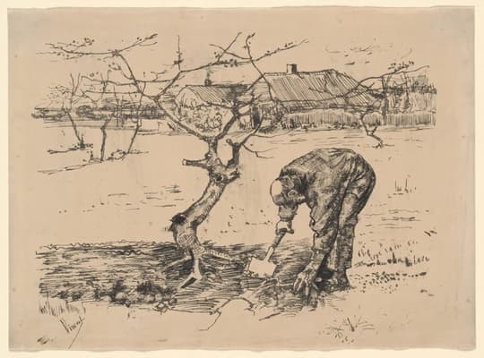 Gardener by an Apple Tree, by Vincent van Gogh, mid-July, 1883