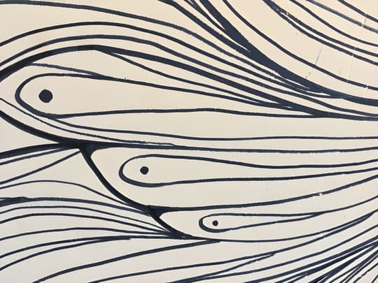 Flowing Fish Forms