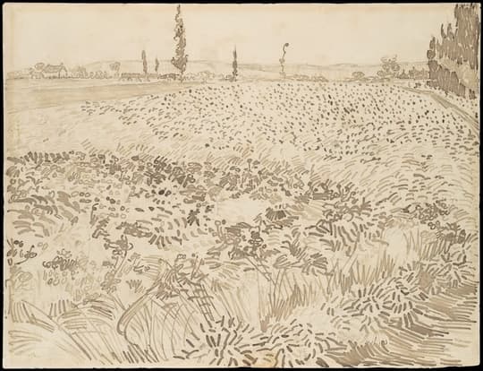 Wheat Field, by Vincent van Gogh, July 1888
