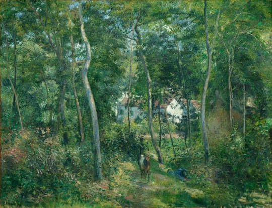 Forest Path at Daybreak