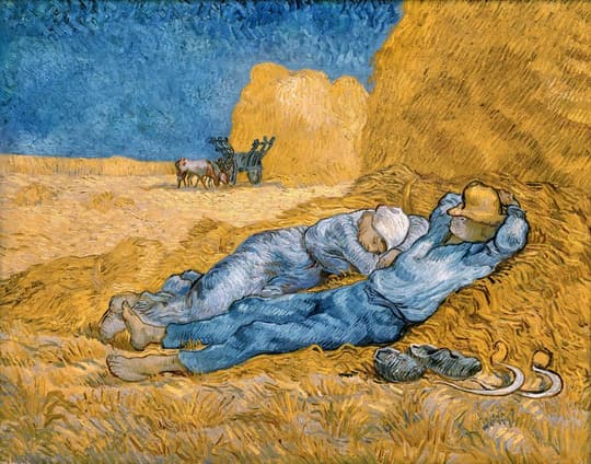 Siesta in the Wheat Field