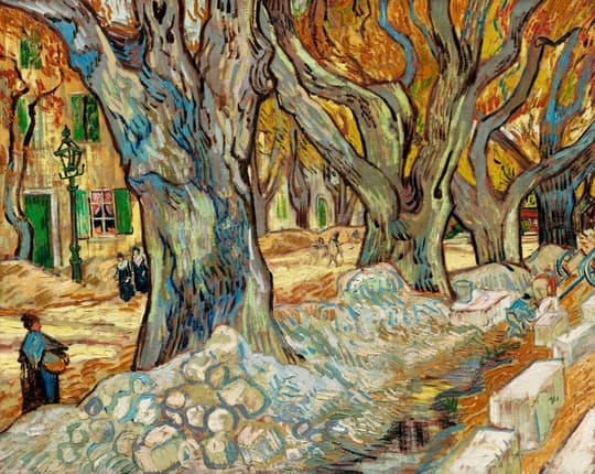 Avenue of Plane Trees