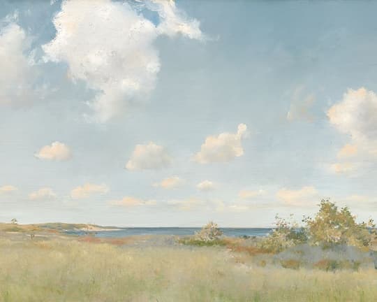 Coastal Meadow under Soft Sky