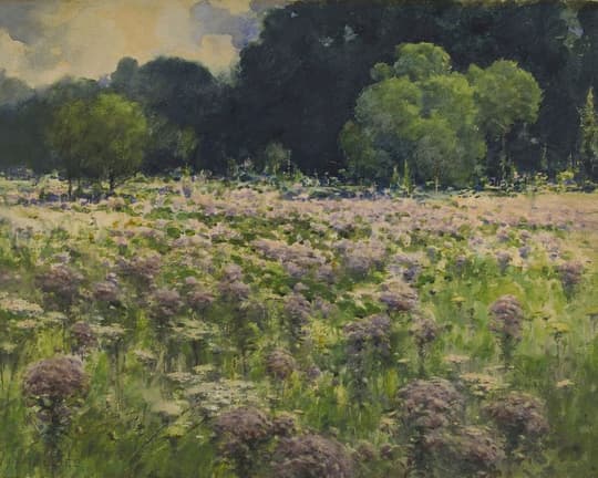 Field of Purple Flowers at Dusk