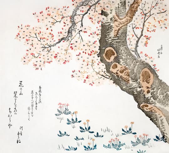 Cherry Blossom Tree with Spring Flowers