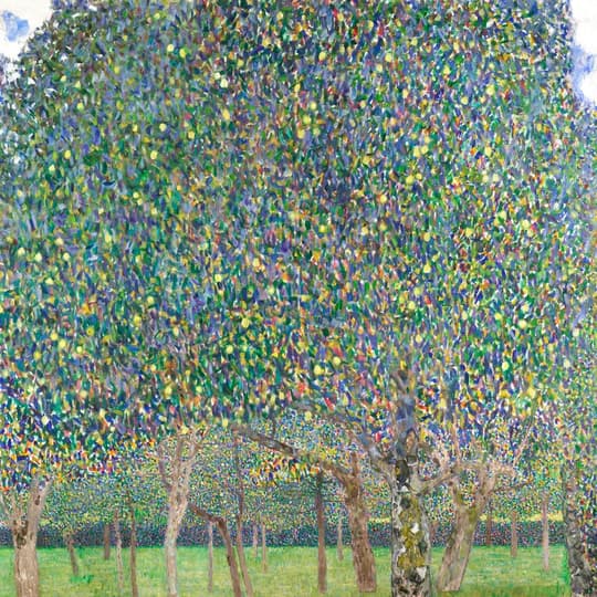 Apple Orchard in Bloom