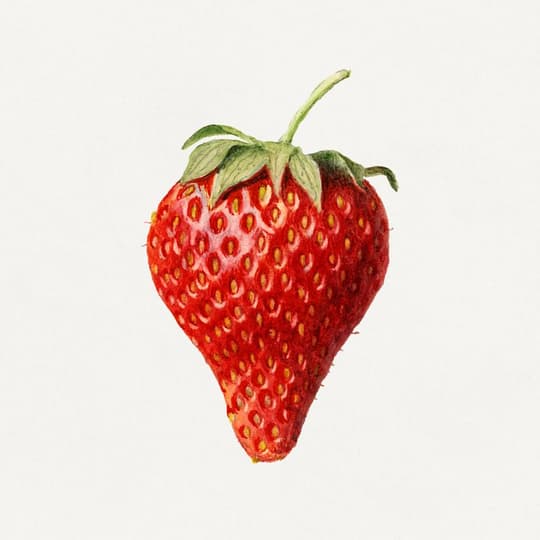 Ripe Strawberry