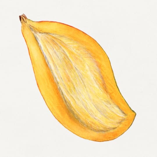 Golden Banana Study