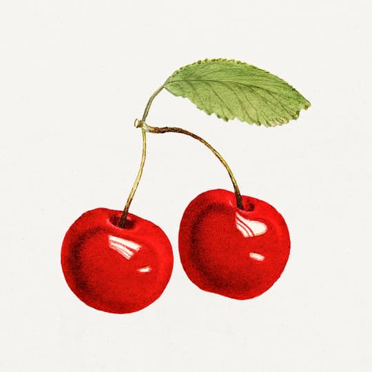Cherries with Green Leaf