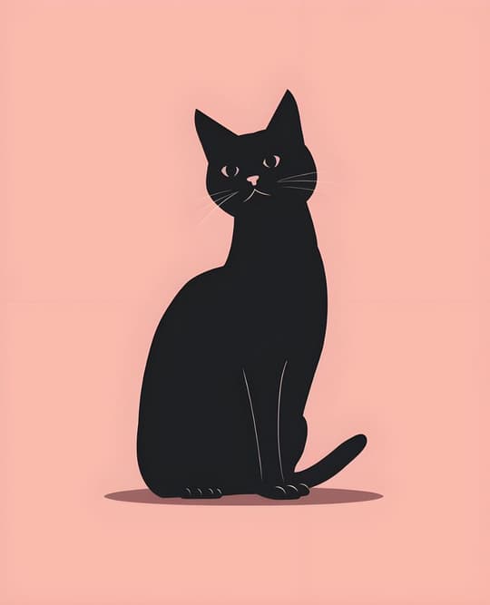 Black Cat on Pink