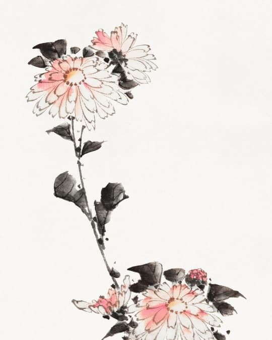 Delicate Daisies