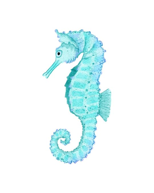 Seahorse