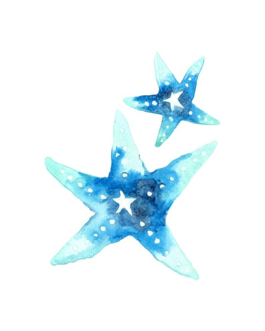 Watercolor Starfish Duo