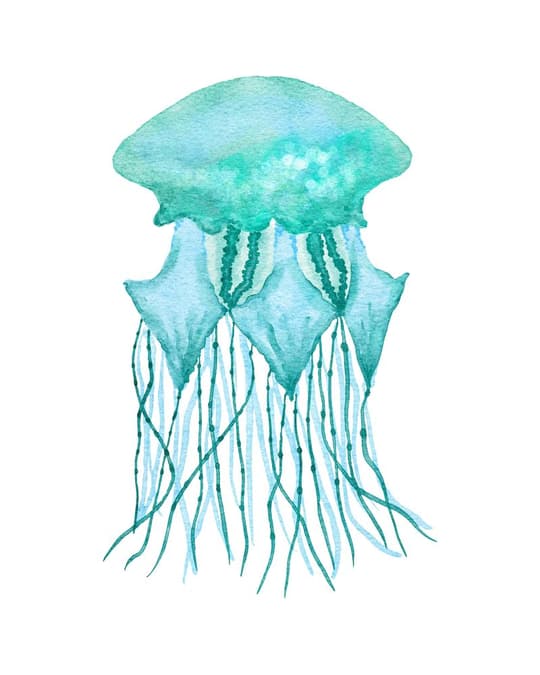 Turquoise Jellyfish