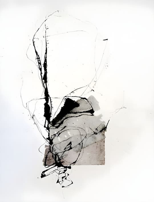 Abstract Linear Form