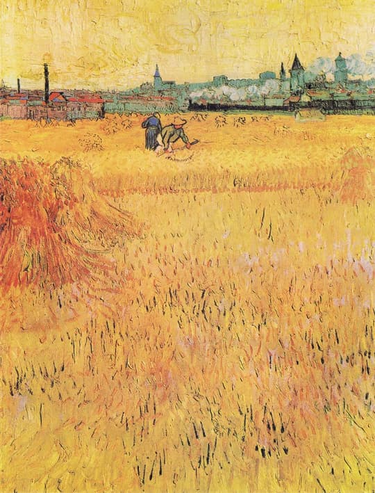 Arles Wheat Field