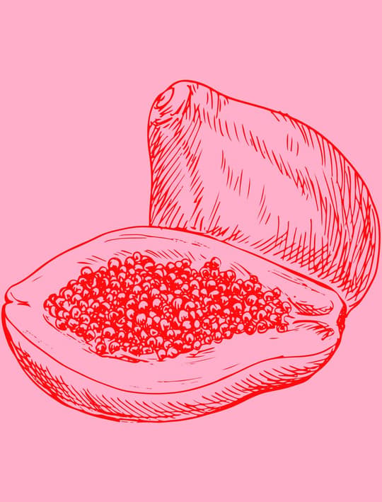 Open Pomegranate