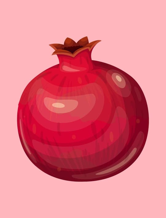 Pomegranate on Pink