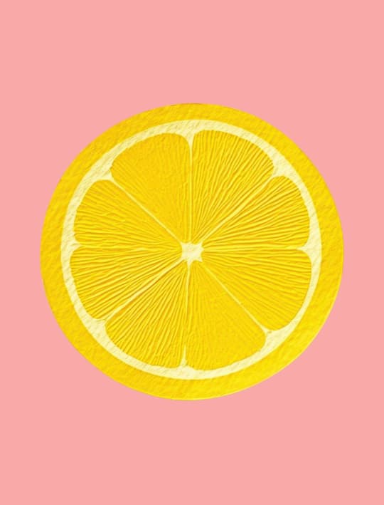 Lemon Slice