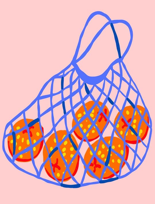 Strawberry Mesh Bag